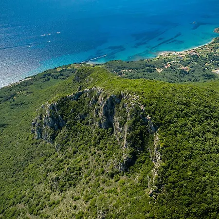 Kanouli Halikounas